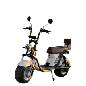 Scooter X13 Plus